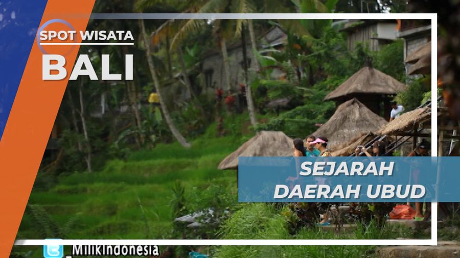 Ubud Dengan Pesona dan Keelokannya yang Mendunia, Bali