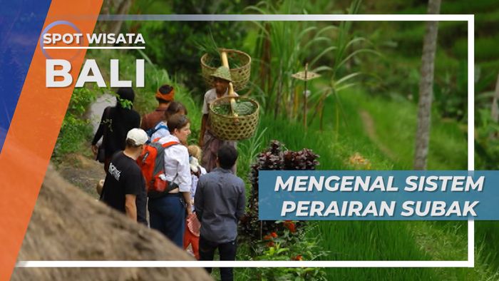 Subak, Sistem Pengairan Sawah yang Menjadi Primadona Ubud, Bali