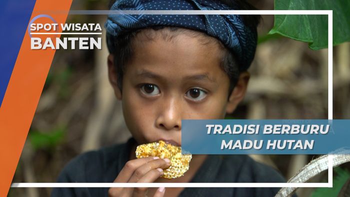 Suku Baduy Berburu Madu Hutan Banten