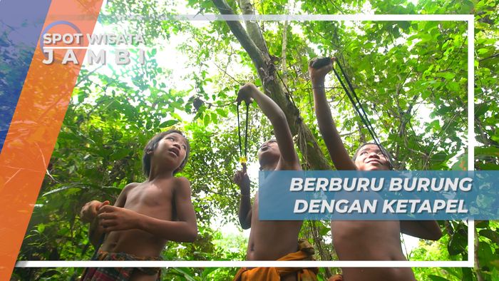 Suku Rimba Berburu Burung Dengan Ketapel, Jambi
