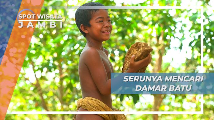 Suku Rimba Mencari Damar Batu, Menggali Tanah di Hutan, Jambi