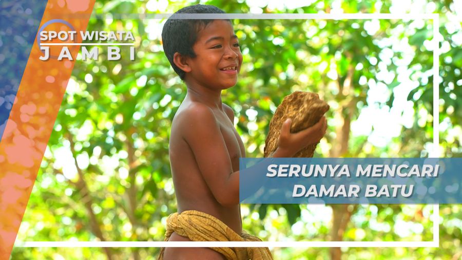 Suku Rimba Mencari Damar Batu, Menggali Tanah di Hutan, Jambi