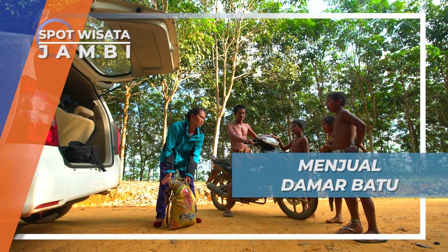 Suku Rimba Menjual Damar Batu, Rutinitas Untuk Bertahan Hidup, Jambi