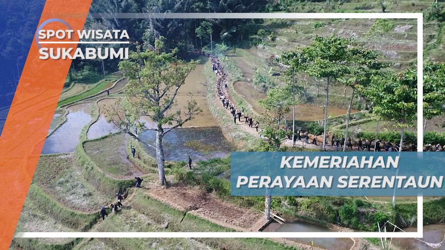 Padi Sudah Diikat Di Pikulan, Saat Tradisi Seren Taun Dimulai di Ciptagelar Sukabumi