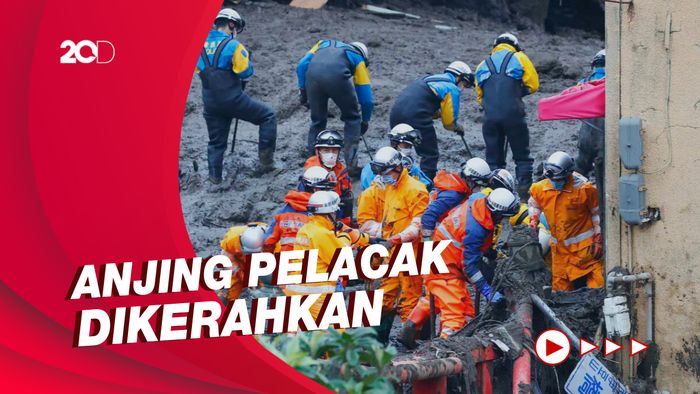 Update Korban Longsor di Jepang: 7 Tewas, 27 Masih Hilang