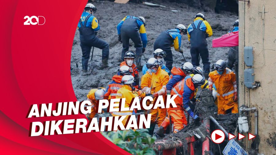 Update Korban Longsor di Jepang: 7 Tewas, 27 Masih Hilang