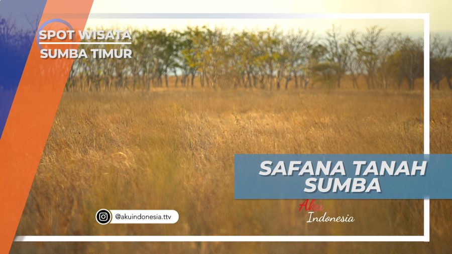 Savana Tanah Sumba, Surga Keindahan di Belahan Timur Indonesia