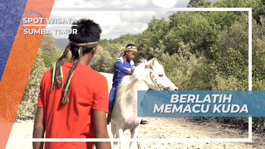 Berlatih Memacu Kuda, Mematangkan Teknik Untuk Pacuan Kuda Sumba Timur