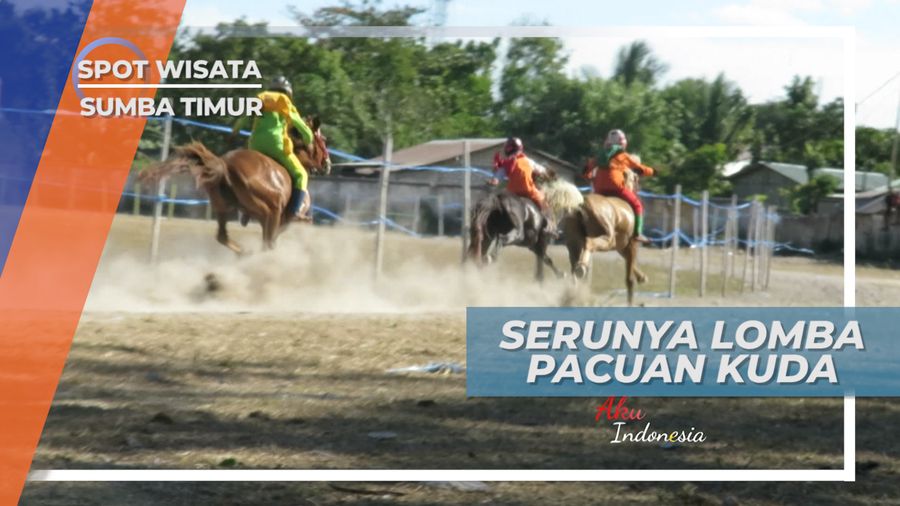 Sang Jawara Cilik Pacuan Kuda Sumba Timur