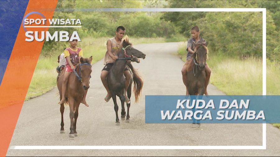 Sumba, Pulau Eksotis Tanahnya Para Pecinta Kuda, Nusa Tenggara Timur