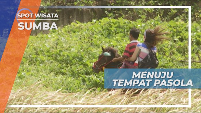 Menunggang Sandlewood Menuju Tempat di Gelarnya Pasola, Sumba