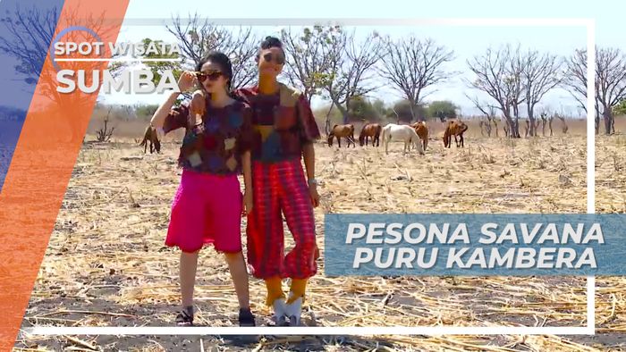 Serasa di Afrika, Berkunjung ke Savana Puru Kambera Sumba