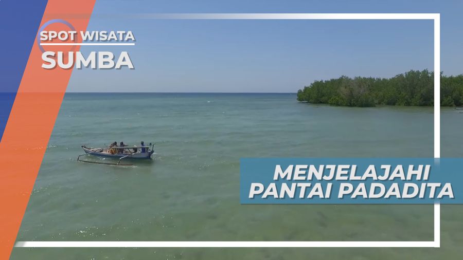 Pantai Padadita, Keindahan Hutan Mangrove Sumba Timur