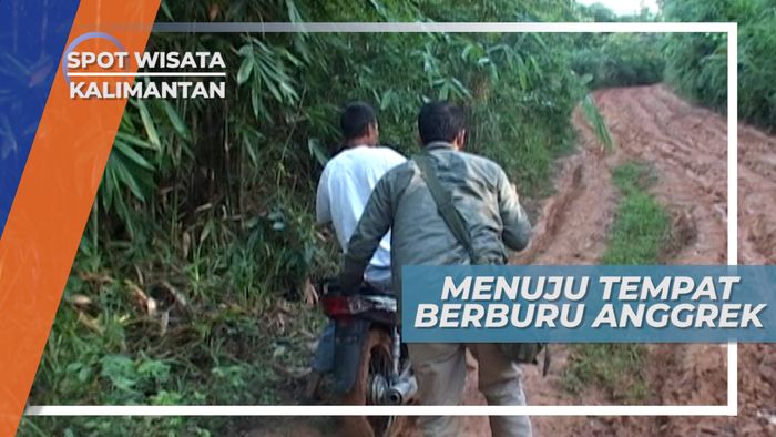 Menuju Tempat Berburu Anggrek Pegunungan Meratus Kalimantan
