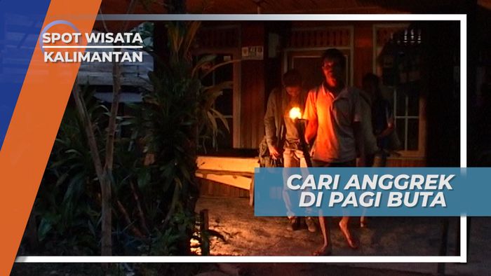 Pagi Pagi Buta, Bersiap Berburu Anggrek Hutan di Pegunungan Meratus Kalimantan 