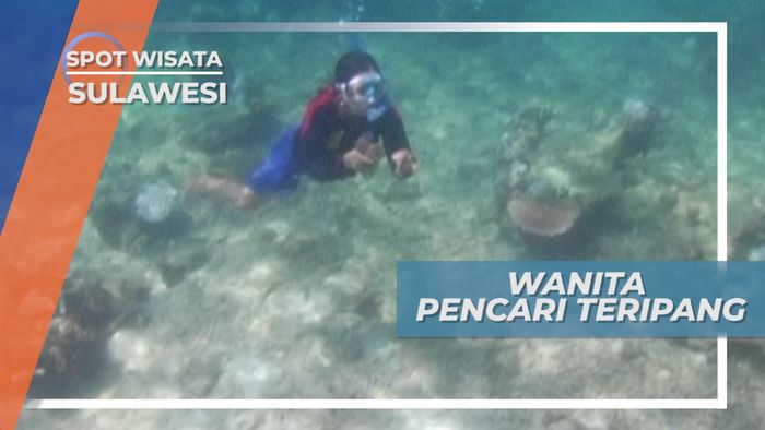 Menyelam dengan Alat Sederhana, Ketangguhan Pemburu Teripang, Sulawesi