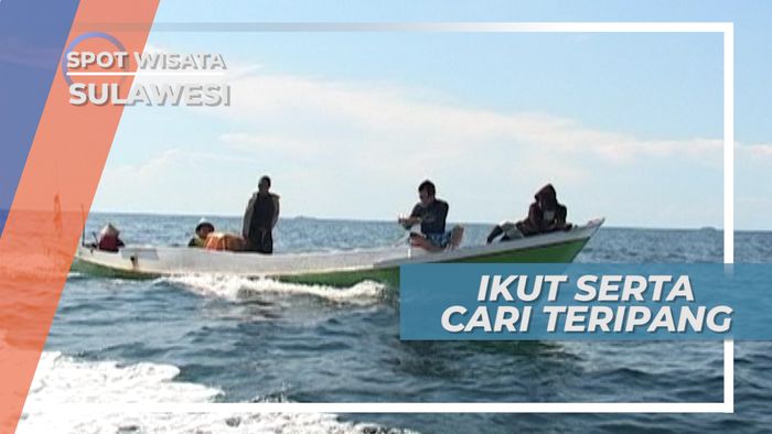 Turut Dalam Perburuan Teripang Ke Arah Barat Pulau Barrang Lompo Sulawesi Selatan