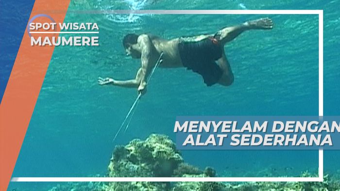 Pemburu Gurita, Tak Gentar Menyelam dengan Alat Sederhana, Maumere