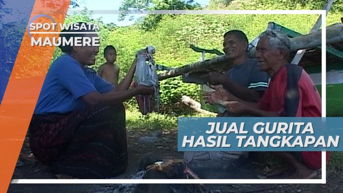 Gurita Besar Hasil Tangkapan Tak Berharga Mahal di Pengepul Maumere