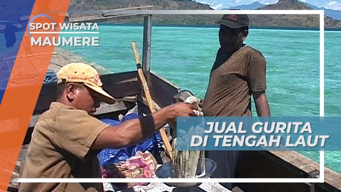 Transaksi Gurita Hasil Buruan, di Tengah Laut Maumere
