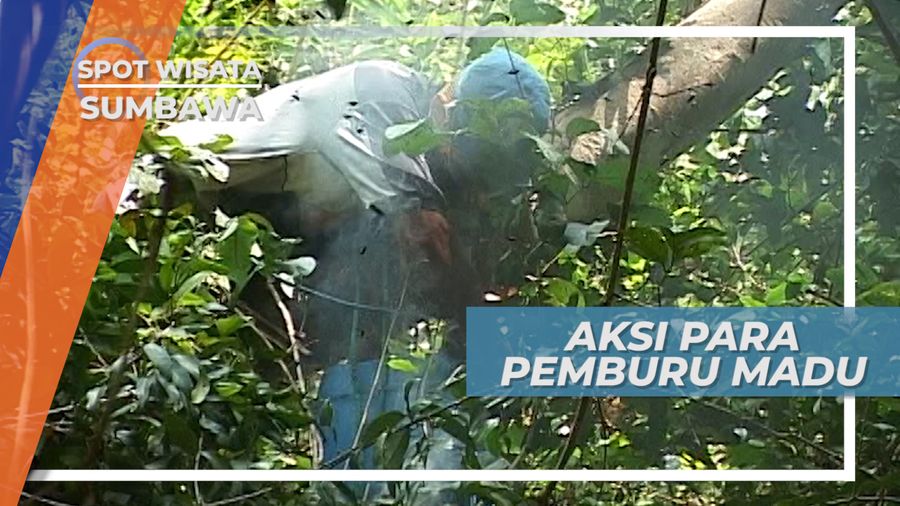 Mantra Mujarab Pemburu Madu Alam Sumbawa