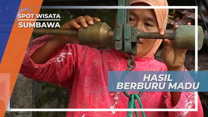 Berburu Madu Alam yang Tak Mudah dan Beresiko Tinggi, Sumbawa