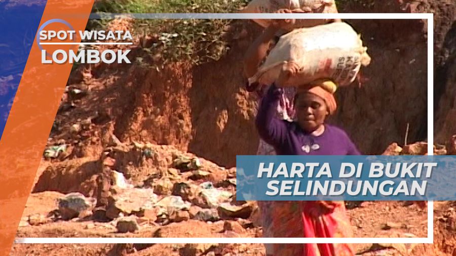 Bukit Selindungan Berlubang Tambang Emas Putih Lombok