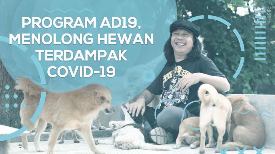 Besut Program AD19, Doni Tolong Anabul Terdampak COVID-19