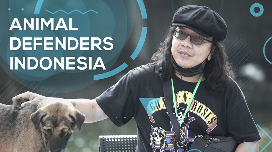 Melawan Peracun Anjing Jadi Latar Belakang Doni Buat Shelter