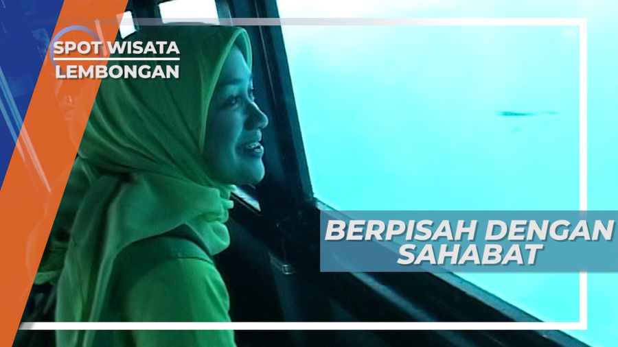 Bertualang Di Lembongan, Menikmati Pemandangan Bawah Laut