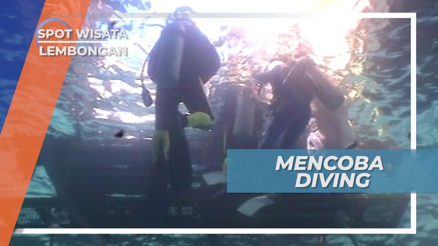 Menyelam dan Berkenalan dengan Ikan Bawah Laut Lembongan