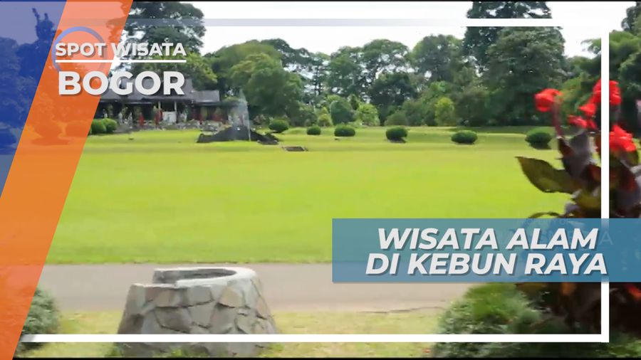 Kebun Raya Bogor, Melihat Keindahan Hijau dalam Koleksi Taman Botani