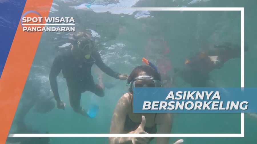 Menikmati Bawah Air Pantai Pasir Putih Bersama Sekumpulan Ikan Laut Selatan Pangandaran
