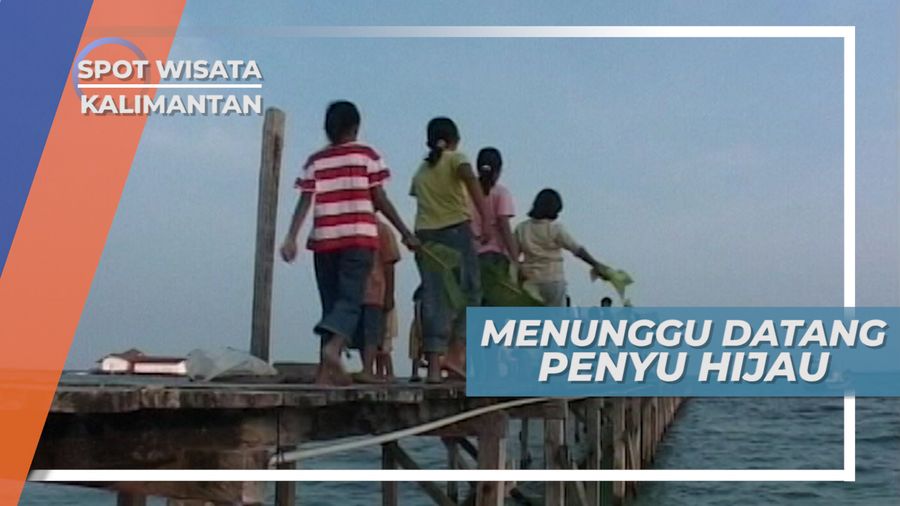 Kegiatan Sore Anak-anak Derawan, Menunggu Penyu Hijau Menepi, Kalimantan