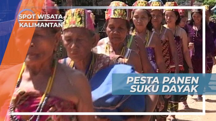 Aruh Adat, Pesta Panen Suku Dayak, Kalimantan