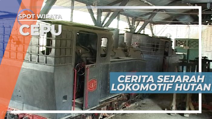 Lokomotif Jerman, Sejarah Kayu Hutan Cepu