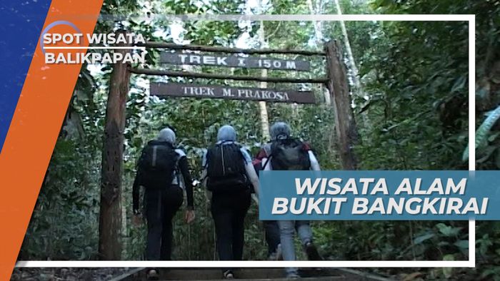 Bukit Bangkirai, Wisata Alam Hutan Tropis Kutai Kartanegara