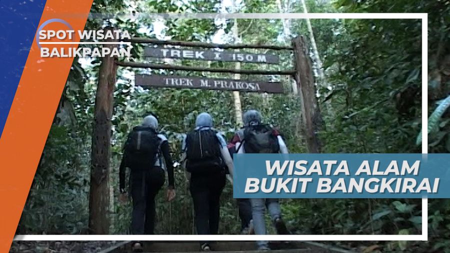 Bukit Bangkirai, Wisata Alam Hutan Tropis Kutai Kartanegara