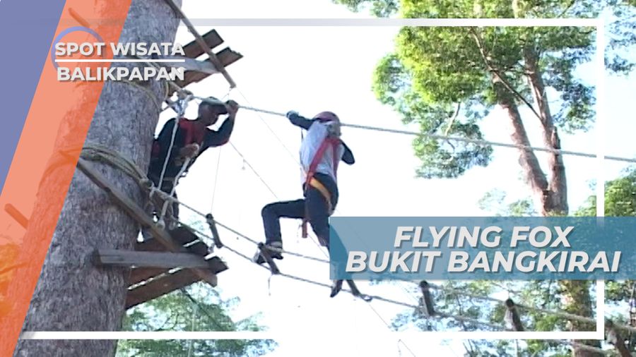 Flying Fox Bukit Bangkirai, Meluncur Dari Ketinggian Alam Tropis Samboja