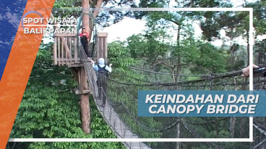 Canopy Bridge Bukit Bangkirai, Meniti Ketinggian Hutan Belantara Samboja