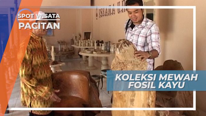 Jenis Fosil Kayu dengan Nilai Fantastis, Pacitan