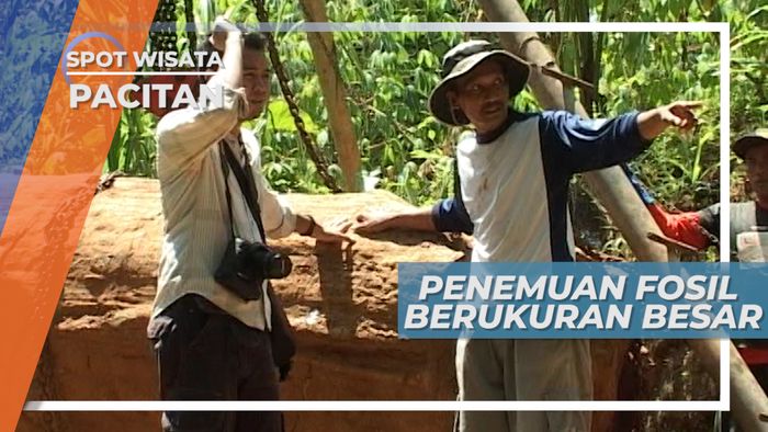 Peralatan Sederhana Untuk Memindahkan Bongkaha Fosil Kayu, Pacitan