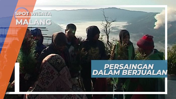 Bersaing dengan Sesama Pemburu Bunga untuk Berjualan, Malang