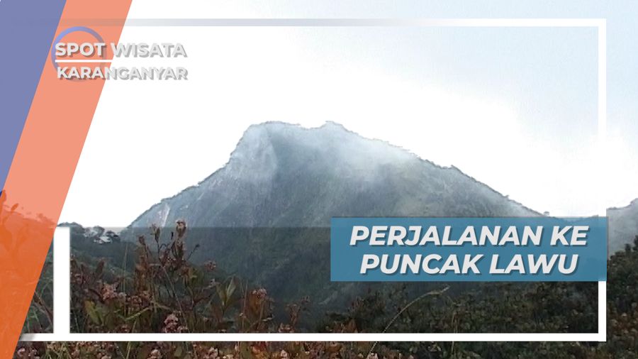 Perjalanan Para Pemburu Tanaman Jamu Ke Puncak Lawu, Karanganyar