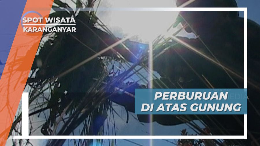 Memenuhi Kebutuhan Hidup dengan Mencari Tanaman dengan Khasiat, Karanganyar