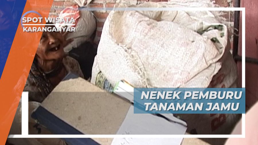 Pemburu Tanaman Jamu, Tidak Mengenal Batasan Umur, Karanganyar