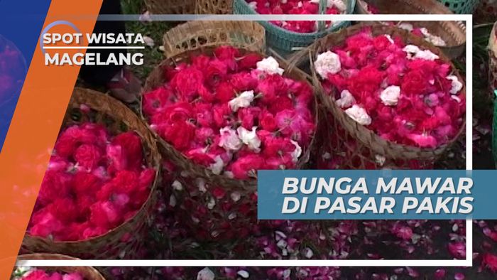 Bunga Mawar Cantik di Pasar Pakis, Magelang