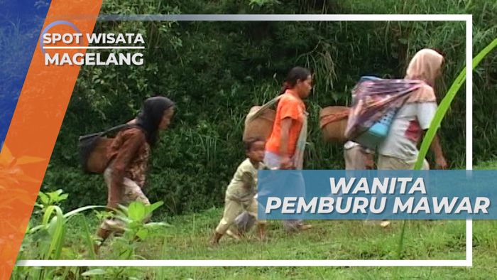 Para Wanita Pemburu Mawar, Magelang