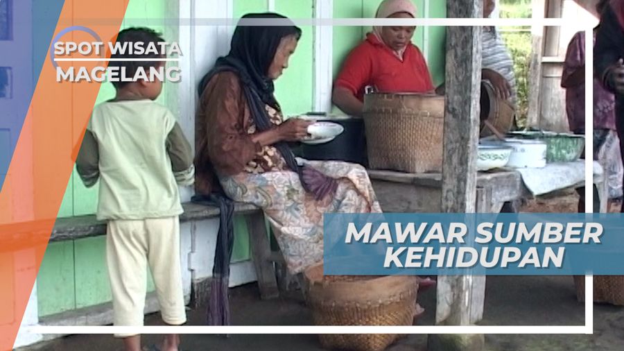 Menggantungkan Hidup Pada Bunga Mawar, Magelang