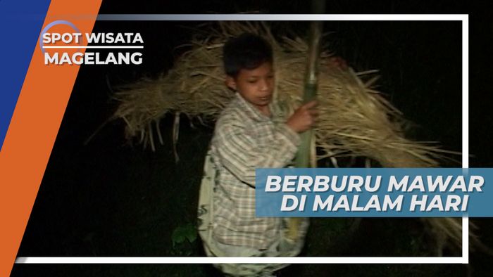 Pencarian Mawar di Gelapnya Malam, Magelang